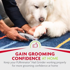 FURminator Nail Grinder Replacement Bands, 6-pack