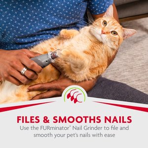 FURminator Nail Grinder Replacement Bands, 6-pack