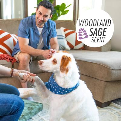 Show full view: FURminator One Earth Hemp Woodland Sage Scented Dog Shampoo, Purple, 8-fl oz bottle slide 7 of 10