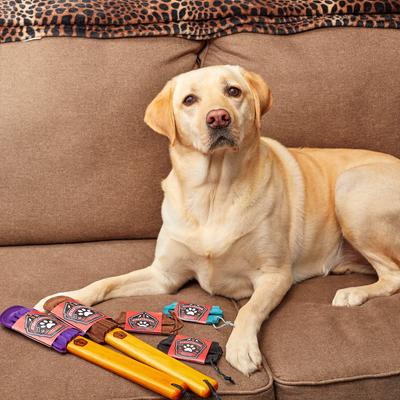 Show full view: Furrfighters Pocket Travel-Size Pet Hair & Lint Remover, Black slide 9 of 9