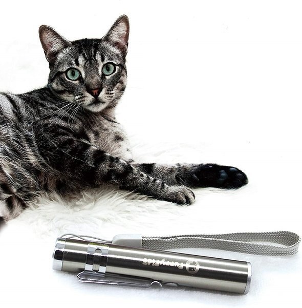 FurryFido Laser Cat Toy