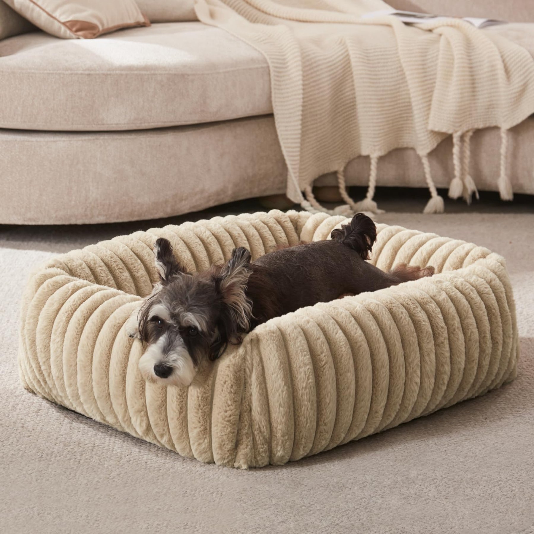 FURTIME Square Raised with Non-Slip Bottom, Removable Cover Bolster Dog Bed, Beige, Medium: 25-in