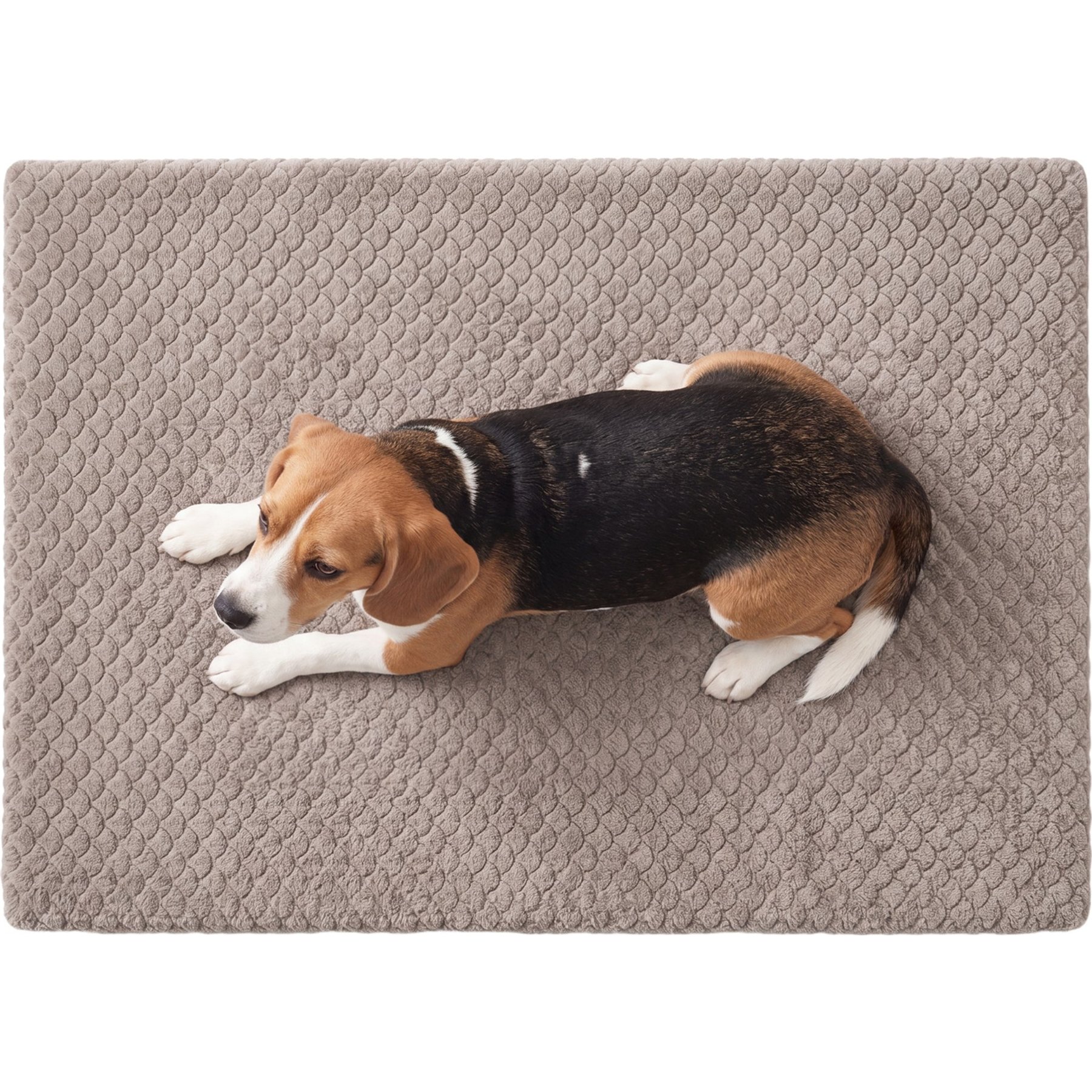 Furvii Essential PV Fleece Scalloped Dog & Cat Crate Pad, Medium: 29 x 18-in, Silver Mink
