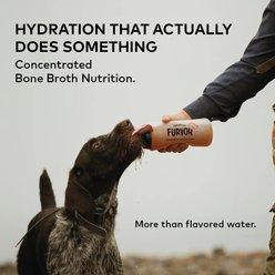 Furvor Beef Concentrated Bone Broth Digestive Health High-Protein Liquid Dog Food Topper, 12-oz bottle slide 2 of 9