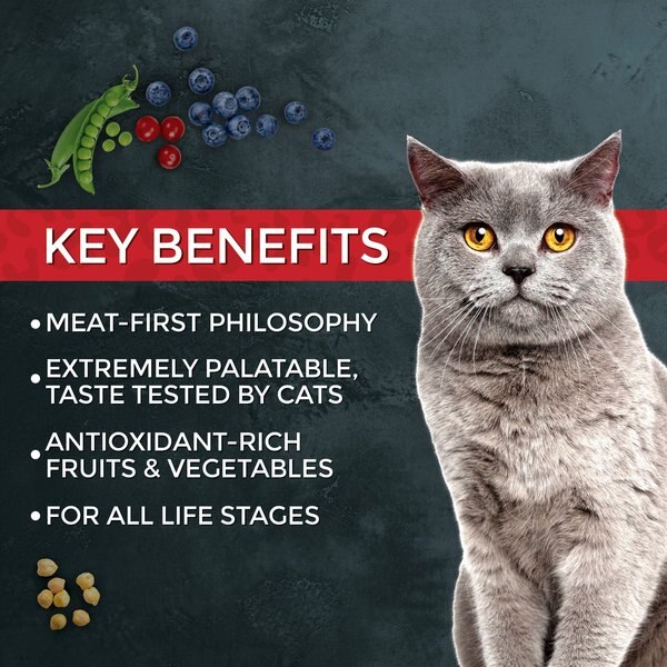 By Nature Pet Foods Chicken & Turkey Meal Recipe Grain-Free Dry Cat Food