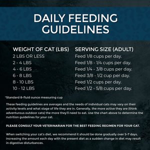 Fussie Cat Market Fresh Salmon Recipe Grain-Free Dry Cat Food, 10-lb bag
