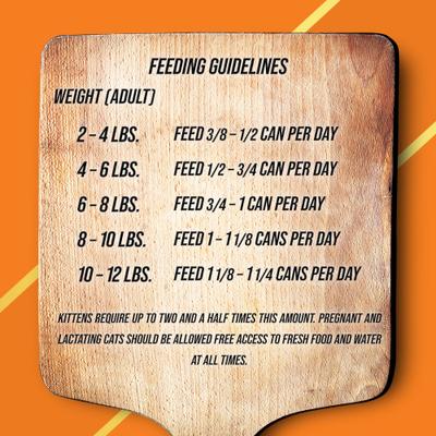 Show full view: Fussie Cat Market Fresh Turkey & Guineafowl Wet Cat Food, 5.5-oz can, case of 24 slide 4 of 5