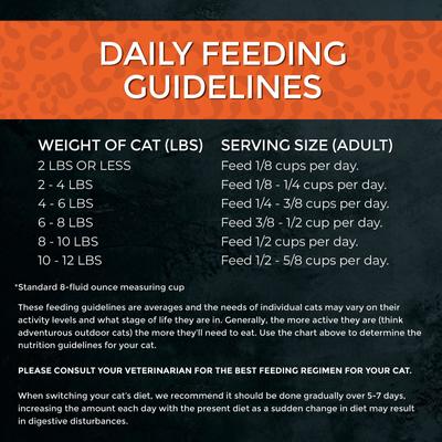 Show full view: Fussie Cat Market Fresh Turkey Meal Recipe Grain-Free Dry Cat Food, 3.5-lb bag slide 8 of 9