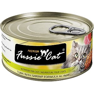 Fussie Cat