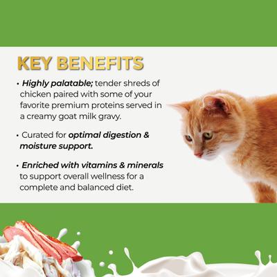 Show full view: Fussie Cat Super Premium Chicken with Duck in Goat Milk Gravy Shredded Wet Cat Food, 2.47-oz can, case of 24 slide 5 of 9