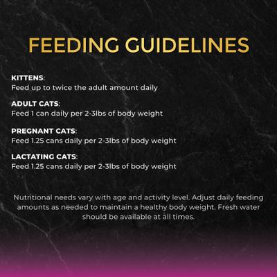 Show full view: Fussie Cat Tuna with Chicken in Gravy Wet Cat Food, 2.82-oz can, case of 24 slide 4 of 9