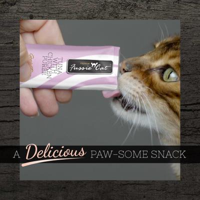 Show full view: Fussie Cat Tuna with Chicken Puree Lickable Cat Treats, 0.5-oz pouch, pack of 4 slide 6 of 7