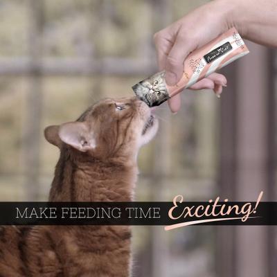 Show full view: Fussie Cat Tuna with Salmon Puree Lickable Cat Treats, 0.5-oz pouch, pack of 4 slide 7 of 8