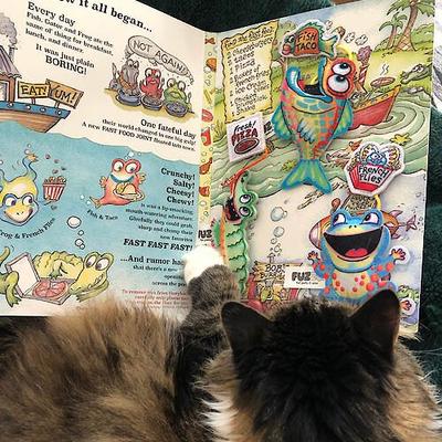 Show full view: FUZZU Fast Food Cats Book, 11x7-in 3/4x1/2-in, 24 slide 8 of 9