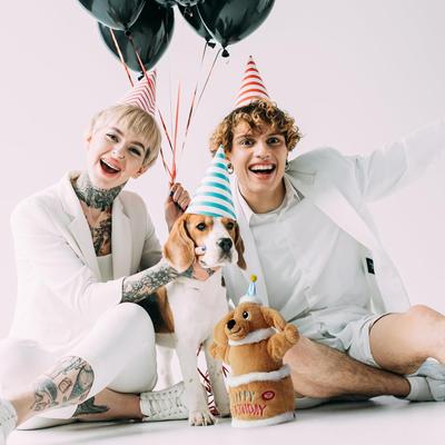 Show full view: Fuzzwoof Birthday Cake Singing & Dancing Golden Retriever Dog Toy, Brown slide 2 of 8