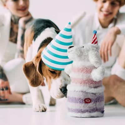 Show full view: Fuzzwoof Birthday Cake Singing & Dancing Teddy Dog Toy, White slide 7 of 8