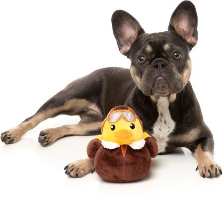 Show full view: FuzzYard Amelia Quackhart Squeaky Plush Dog Toy, Large slide 4 of 9