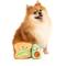 Show in main carousel: FuzzYard Avocado & Toast Squeaky Plush Dog Toy, 2 count slide 3 of 6