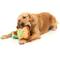 Show in main carousel: FuzzYard Avocado & Toast Squeaky Plush Dog Toy, 2 count slide 2 of 6