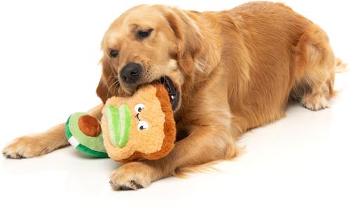Show full view: FuzzYard Avocado & Toast Squeaky Plush Dog Toy, 2 count slide 2 of 6