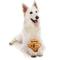 Show in main carousel: FuzzYard Basketball Squeaky Plush Dog Toy slide 4 of 6