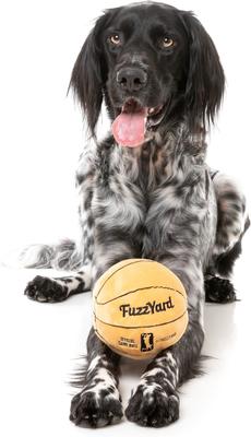 Show full view: FuzzYard Basketball Squeaky Plush Dog Toy slide 3 of 6