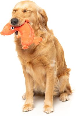 Show full view: FuzzYard Brad-Wurst Squeaky Plush Dog Toy slide 6 of 9