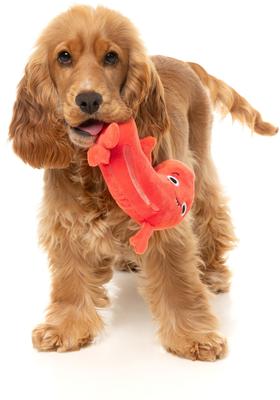 Show full view: FuzzYard Brad-Wurst Squeaky Plush Dog Toy slide 4 of 9