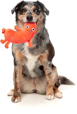 Show full view: FuzzYard Brad-Wurst Squeaky Plush Dog Toy slide 3 of 9