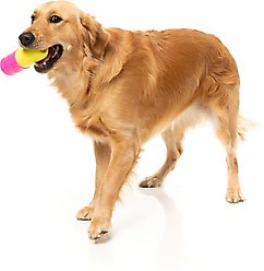 FuzzYard Chill Pill Treat Dispensing Dog Toy slide 2 of 9