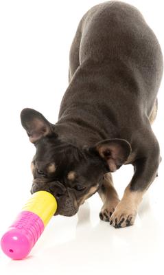 Show full view: FuzzYard Chill Pill Treat Dispensing Dog Toy slide 4 of 11