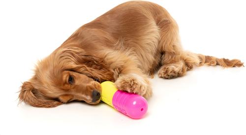 Show full view: FuzzYard Chill Pill Treat Dispensing Dog Toy slide 3 of 11