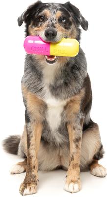 Show full view: FuzzYard Chill Pill Treat Dispensing Dog Toy slide 2 of 11