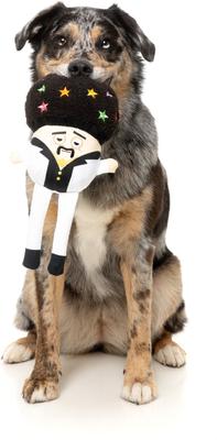 Show full view: FuzzYard Disco Randy Mushroom Squeaky Plush Dog Toy slide 3 of 7