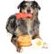 Show in main carousel: FuzzYard Dog's Breakfast Squeaky Plush Dog Toy, 3 count slide 6 of 8