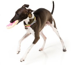 FuzzYard Donuts Squeaky Plush Dog Toy, 2 count slide 2 of 7