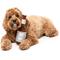 Show in main carousel: FuzzYard Drool Light Squeaky Plush Dog Toy slide 5 of 8
