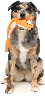 Show full view: FuzzYard Farewell Fox Squeaky Stuffing-Free Plush Dog Toy slide 5 of 9
