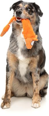 Show full view: FuzzYard Farewell Fox Squeaky Stuffing-Free Plush Dog Toy slide 4 of 9