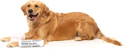 FuzzYard Fetch My Slippers & Paper Squeaky Plush Dog Toy, 2 count slide 2 of 6