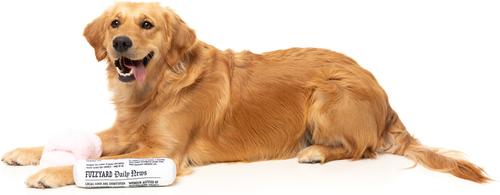 Show full view: FuzzYard Fetch My Slippers & Paper Squeaky Plush Dog Toy, 2 count slide 4 of 6