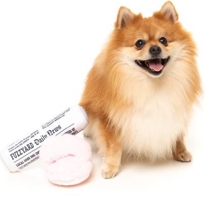 Show full view: FuzzYard Fetch My Slippers & Paper Squeaky Plush Dog Toy, 2 count slide 2 of 6