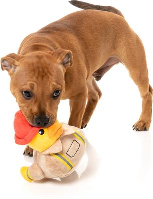 Show full view: FuzzYard Firequacker Squeaky Plush Dog Toy slide 5 of 10