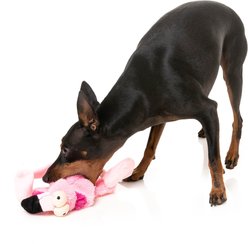 FuzzYard Flat Out Nasties Flo The Flamingo Squeaky Stuffing-Free Plush Dog Toy slide 2 of 6