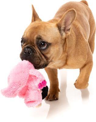 Show full view: FuzzYard Flat Out Nasties Flo The Flamingo Squeaky Stuffing-Free Plush Dog Toy slide 4 of 8