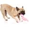 Show in main carousel: FuzzYard Flat Out Nasties Flo The Flamingo Squeaky Stuffing-Free Plush Dog Toy slide 3 of 8