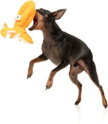 FuzzYard Flat Out Nasties Sir Legs A Lot The Octopus Squeaky Stuffing-Free Plush Dog Toy slide 2 of 6