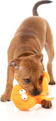 Show full view: FuzzYard Flat Out Nasties Sir Legs A Lot The Octopus Squeaky Stuffing-Free Plush Dog Toy slide 4 of 7
