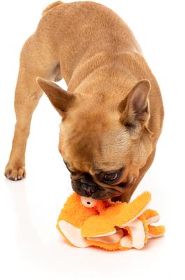 Show full view: FuzzYard Flat Out Nasties Sir Legs A Lot The Octopus Squeaky Stuffing-Free Plush Dog Toy slide 3 of 7