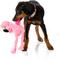 Show in main carousel: FuzzYard Flo Flamingo Squeaky Plush Dog Toy, Large slide 3 of 7
